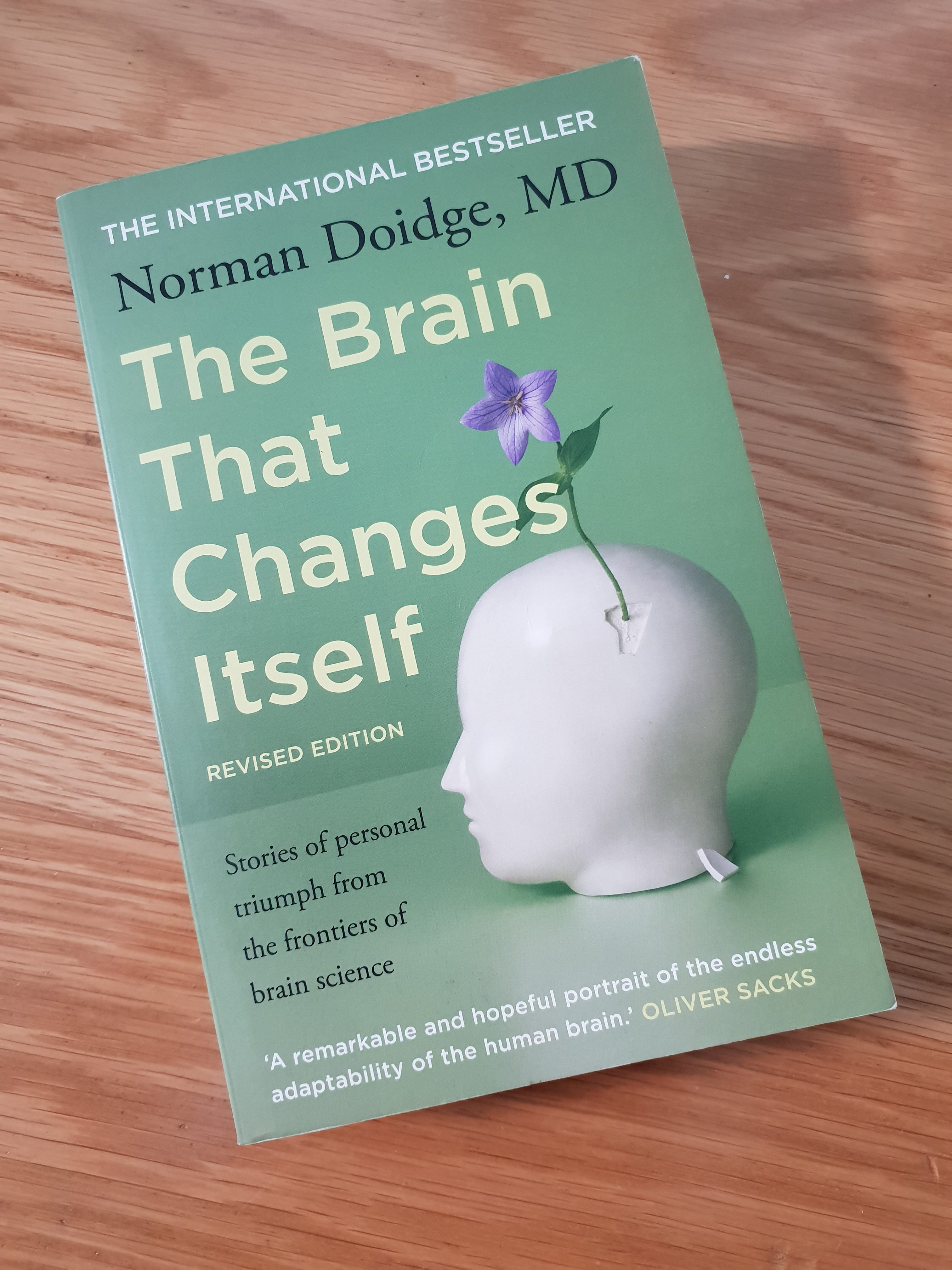 The Brain that changes itself